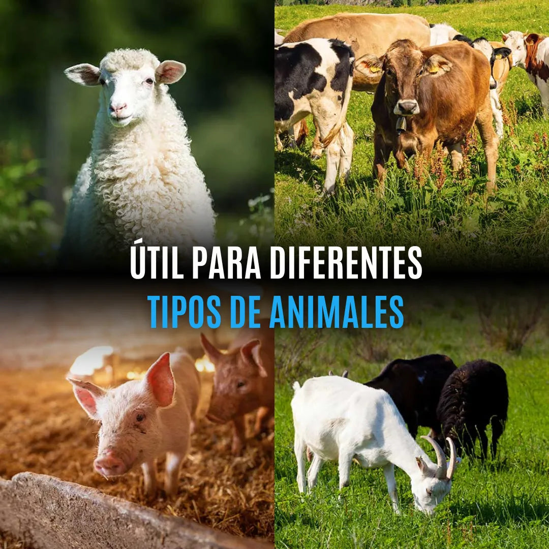 CleanSweep™ Herramienta Depilación de Animales