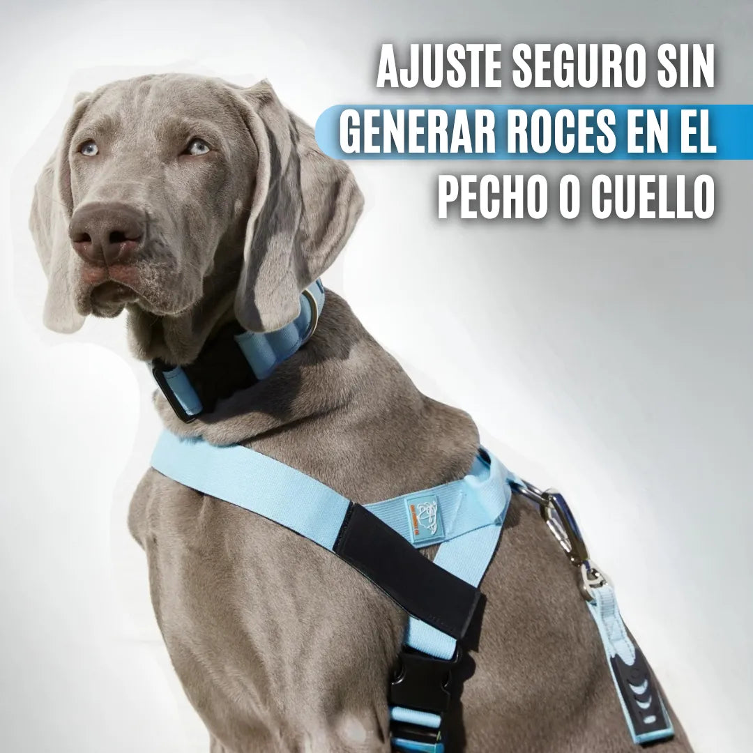 ComfortPet™ Arnés Anti-tirones para Perros