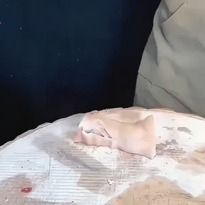 Cut Samurai™-Cuchillo Grande con Dragon -